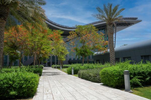 国际环境组织在世界环境日倡导环境可持续性