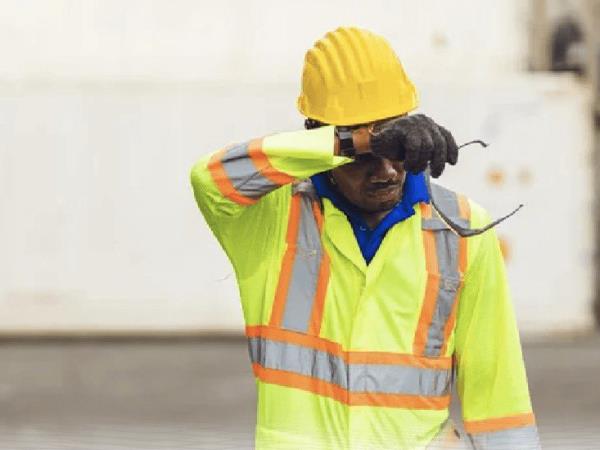 内阁决定成立劳动力计划委员会